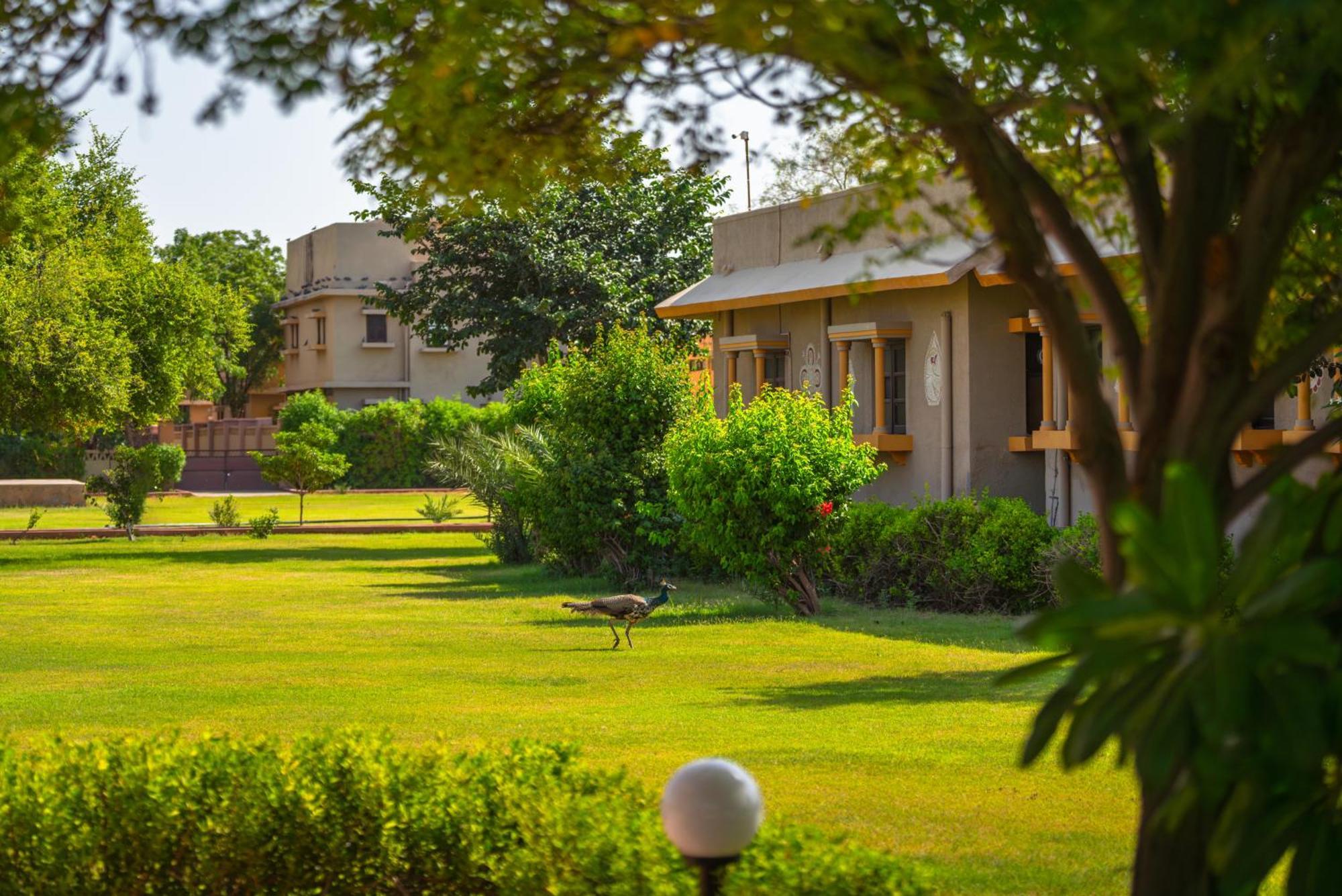 Thar Oasis Resort And Camp Dechu المظهر الخارجي الصورة
